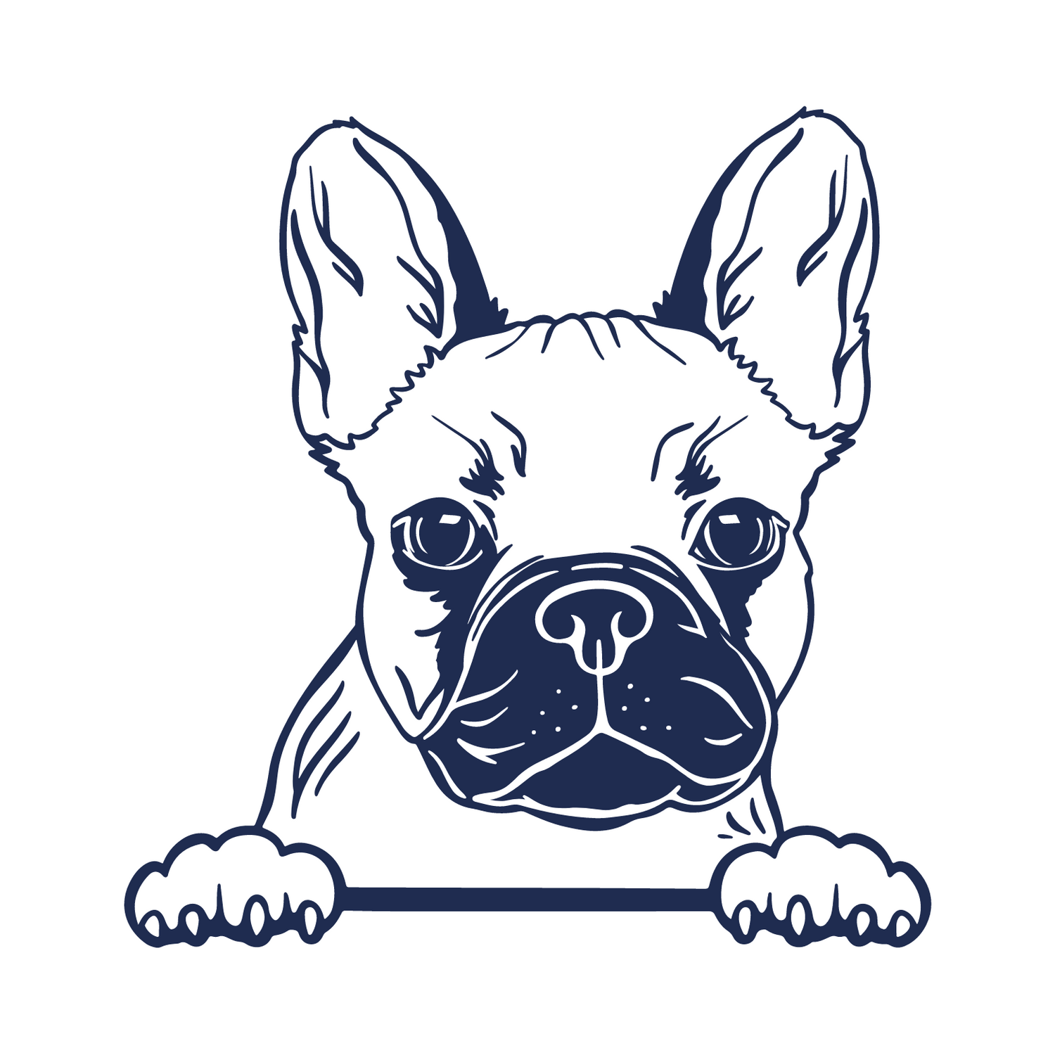Mr. Carmine — A Frenchie Collection